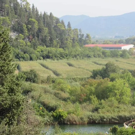 Tangerine Apartament Rogotin