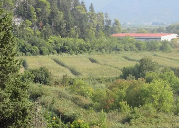 Tangerine Apartament Rogotin