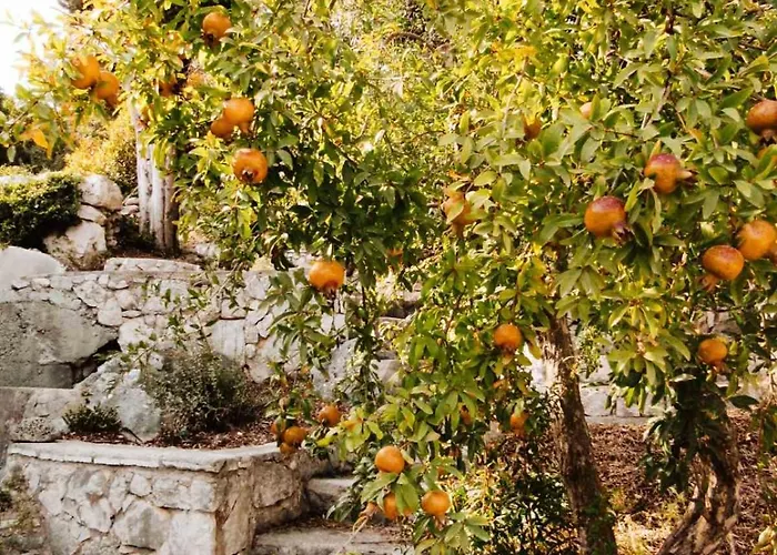 Tangerine Appartamento